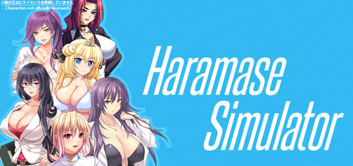 Haramase Simulator V0.3.1.1 完结汉化版+作弊指令 PC+安卓-绅士ACGN