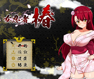 女忍者椿:丝袜女忍者的战国之旅 精翻汉化版 RPG游戏 1.2G