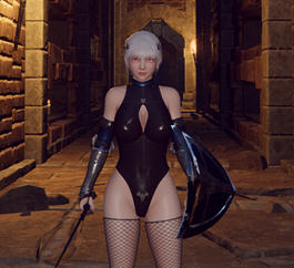 地下城的女骑士 DL官方中文解码版 3D动作冒险游戏 1.9G
