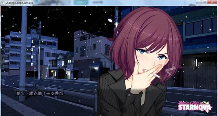 图片[5]-闪耀之星 精修汉化完结步兵版 电脑/安卓 大型ADV游戏-Gal社