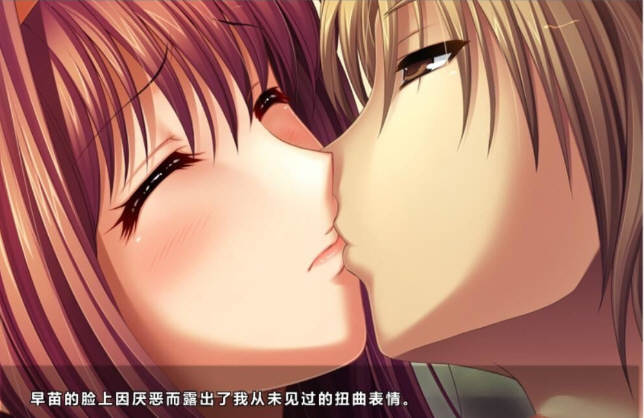 图片[3]-爱妻日记：完美人妻与不举夫 精翻汉化版+动画 拔作SLG-Gal社