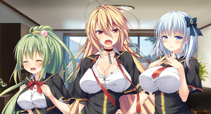 破口大骂幻想曲：勇者与魔王故事 汉化版 ADV游戏 1.2G_游戏社