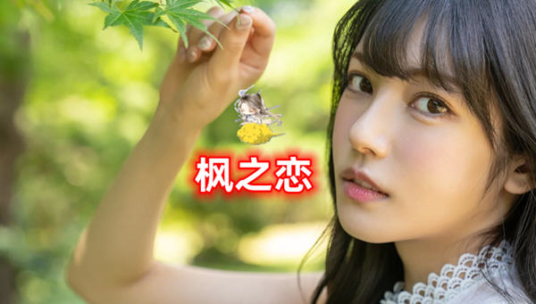 枫之恋 ver1.0 官方中文版 Win/APK SLG游戏&新作 2.1G_游戏社