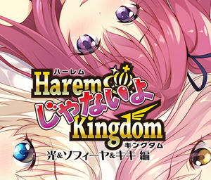 后宫王国(HaremKingdomFD) AI精翻汉化版 ADV游戏&SMEE 2.1G