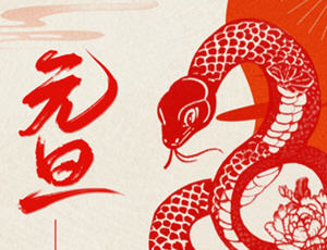 时光如梭，新岁开启，祝各位2025新年快乐 ！- 造梦星河