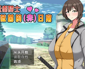 近卫骑士韦恩的非日常 v1.0 STEAM官方中文版 回合制RPG游戏 700M